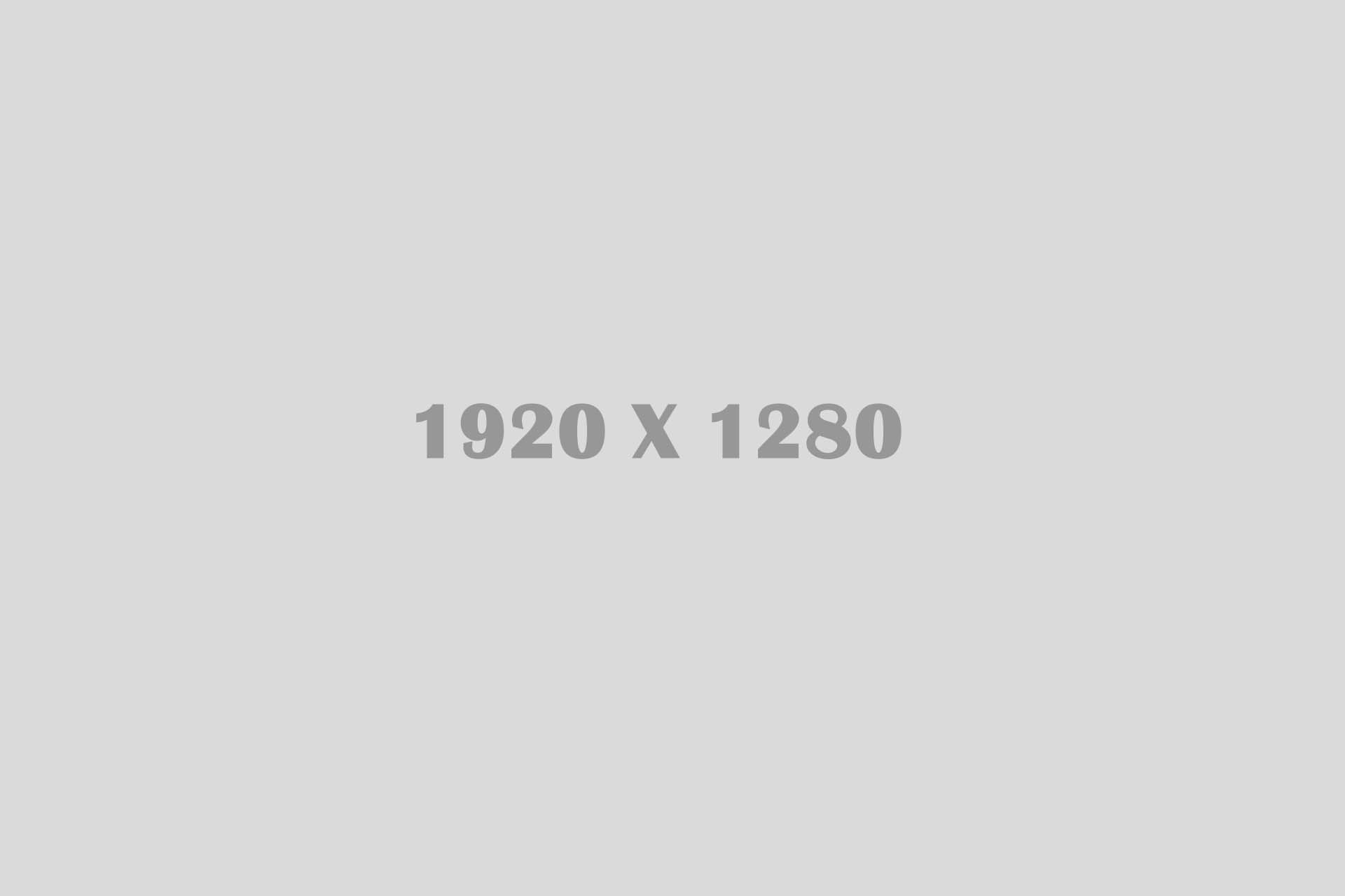 portfolio_04