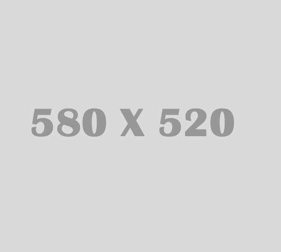 /img/project/veg-group-project-1.jpg